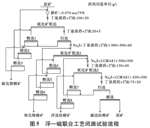 浮一磁聯(lián)合工藝流程
