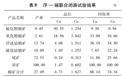 浮一磁聯(lián)合工藝試驗結(jié)果